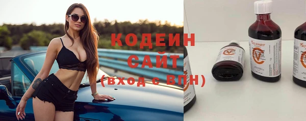 индика Баксан