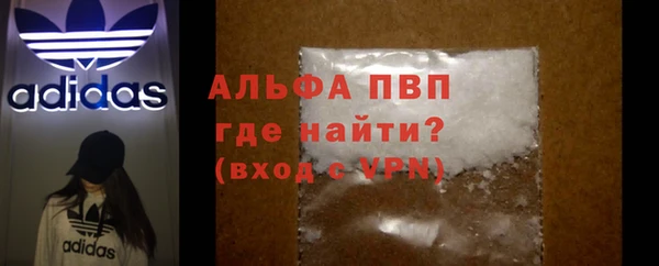индика Баксан