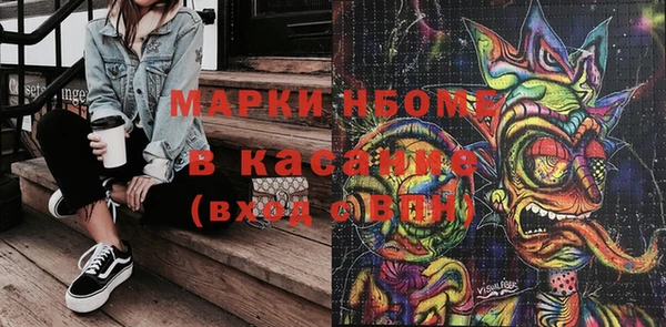 индика Баксан