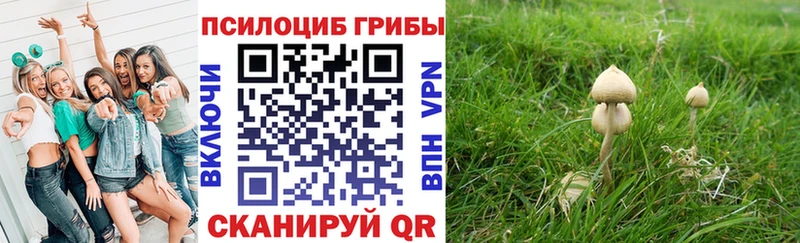 закладки  сайты даркнета какой сайт  Галлюциногенные грибы Psilocybe  Монино 